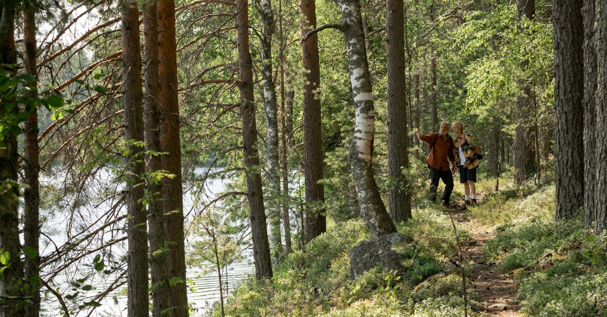 A grandfather and grandson walking through a lush forest along a riverside trail during summer.