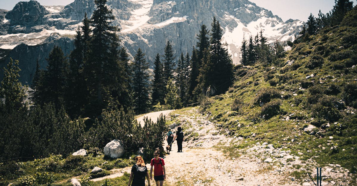 third_section_image_data.image_alt