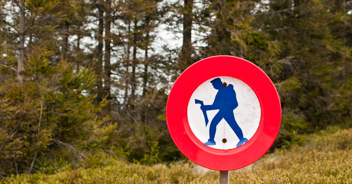 A forest scene featuring a red circle hiking prohibition sign indicating restricted access.