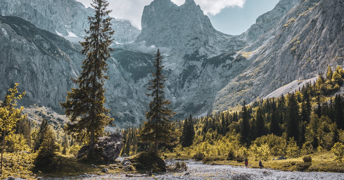 A picturesque landscape of the Wetterstein Mountains in Bavaria, Germany, during summer.