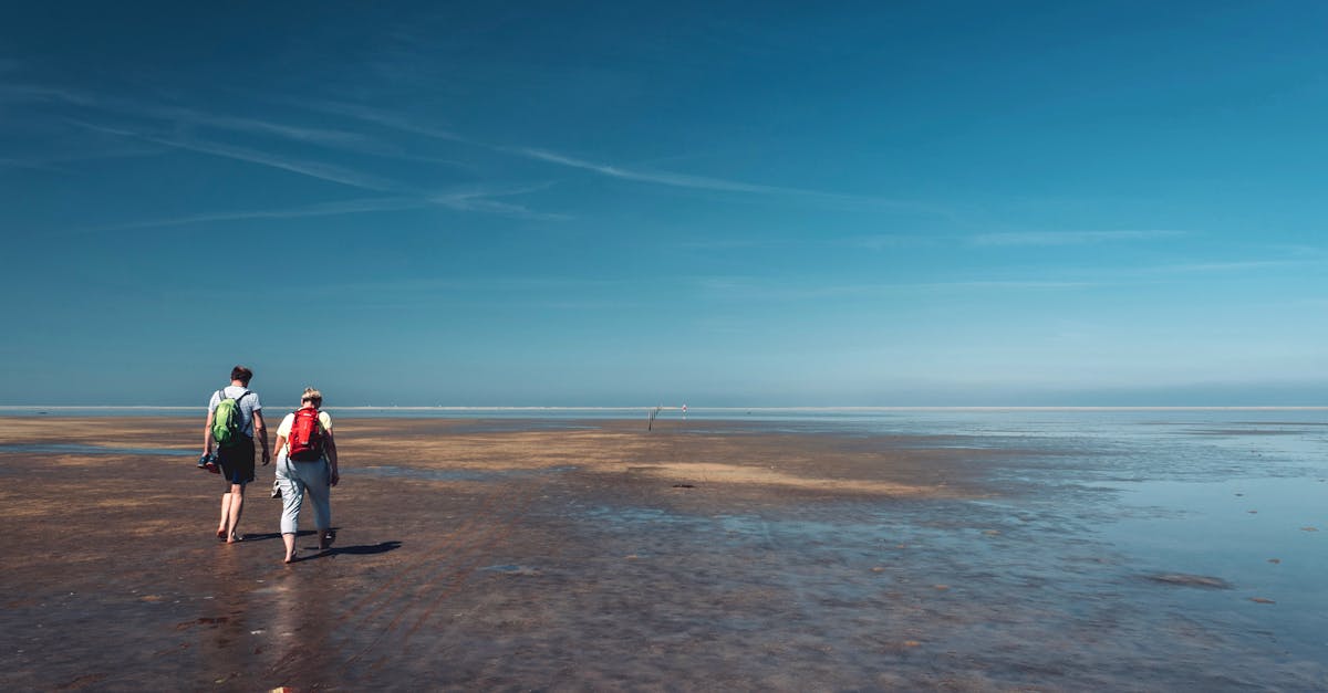 A couple walks along a vast, deserted beach under a clear blue sky, enjoying a peaceful moment together.