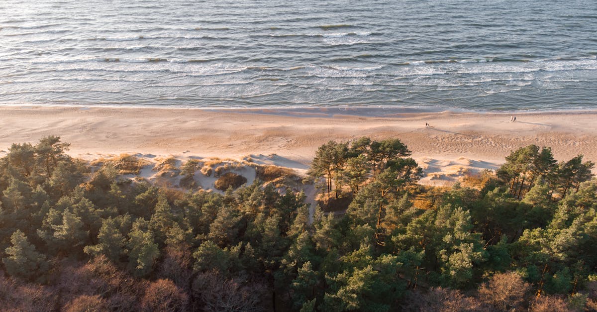 Dramatic aerial view of Palanga's serene beach and forest coastline, Lithuania.