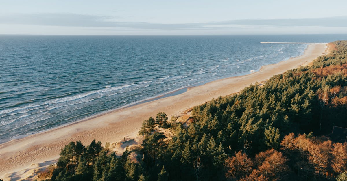 Stunning aerial view of Palanga beach and coastline in Lithuania, ideal for travel inspiration.