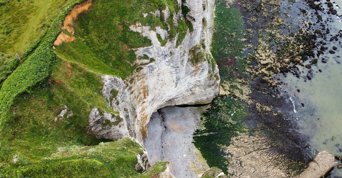 third_section_image_data.image_alt