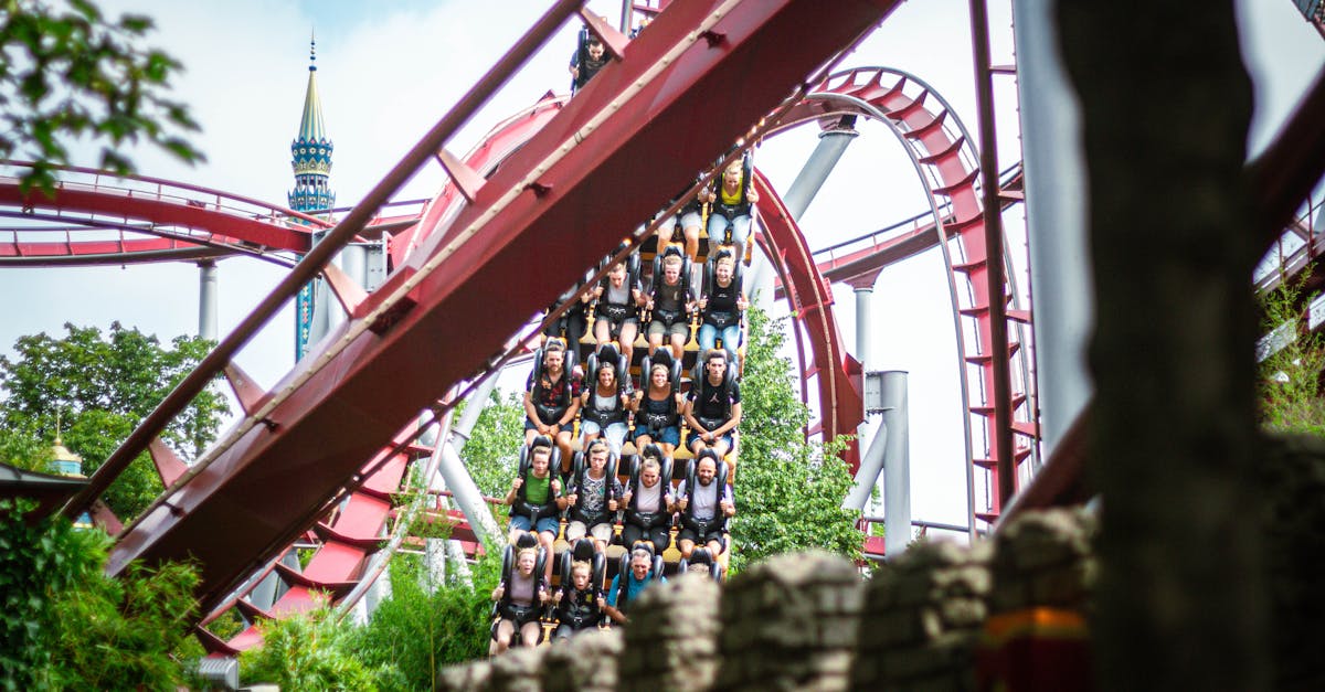 Experience the thrill of a roller coaster ride at a bustling amusement park during daytime.