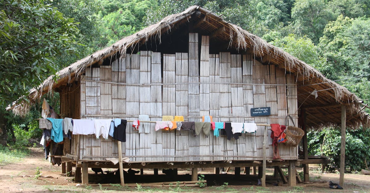 A rustic bamboo house in a lush forest, showcasing rural life essentials.
