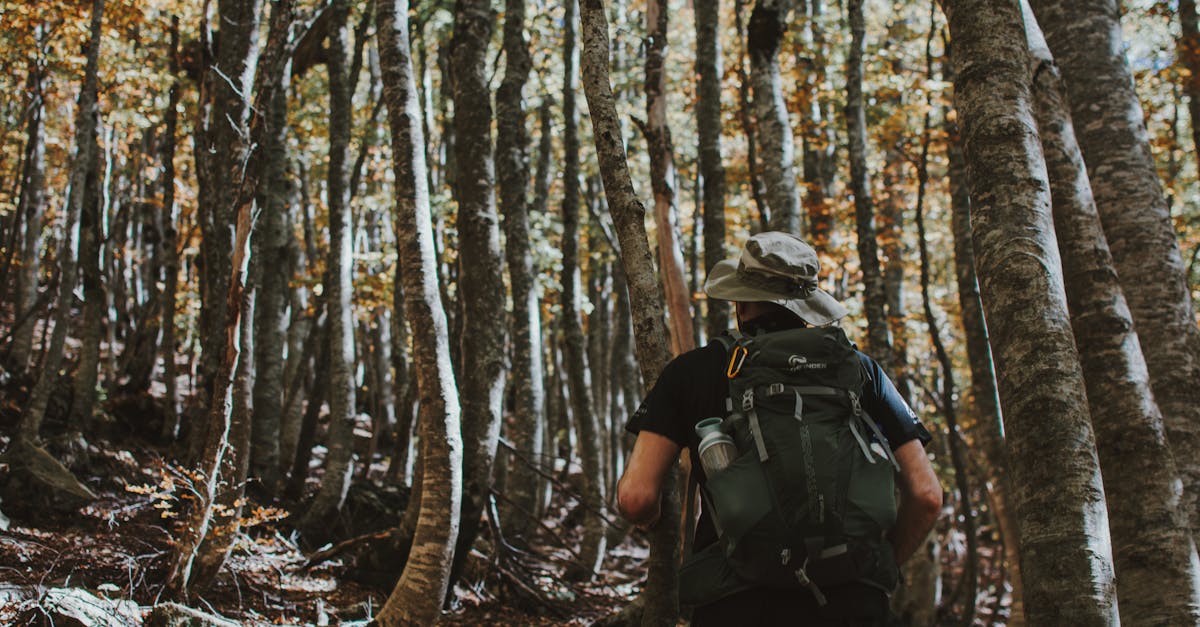 A lone backpacker hiking through a dense autumn forest, captured from behind.