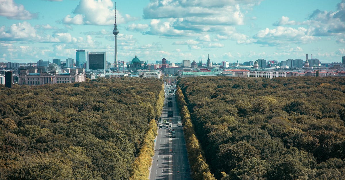 Aerial view of Berlin's skyline and Tiergarten with TV tower on a bright day.