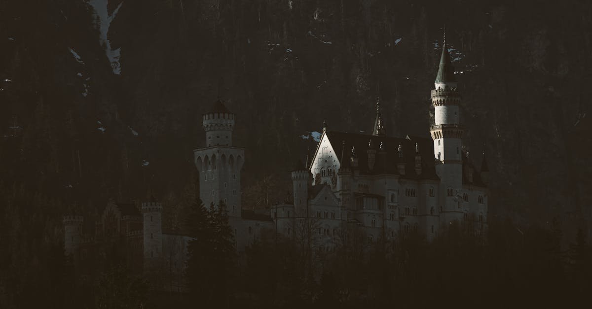 Stunning view of Neuschwanstein Castle, surrounded by forested mountains at dawn.