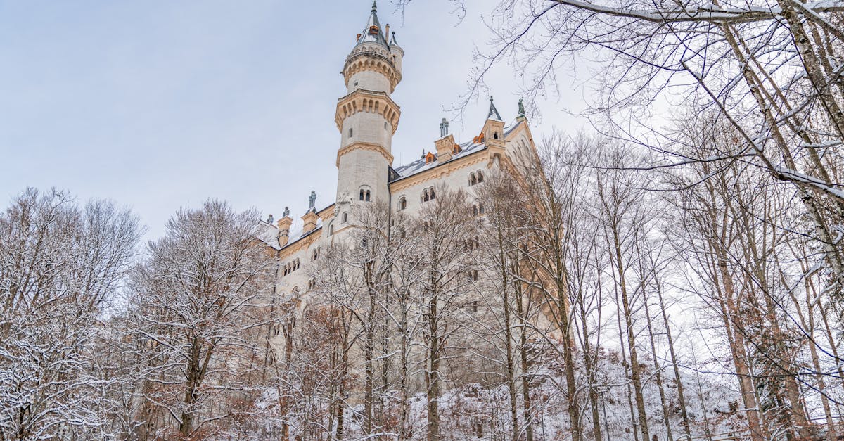 A beautiful snowy view of Neuschwanstein Castle surrounded by winter trees in Bavaria, Germany.