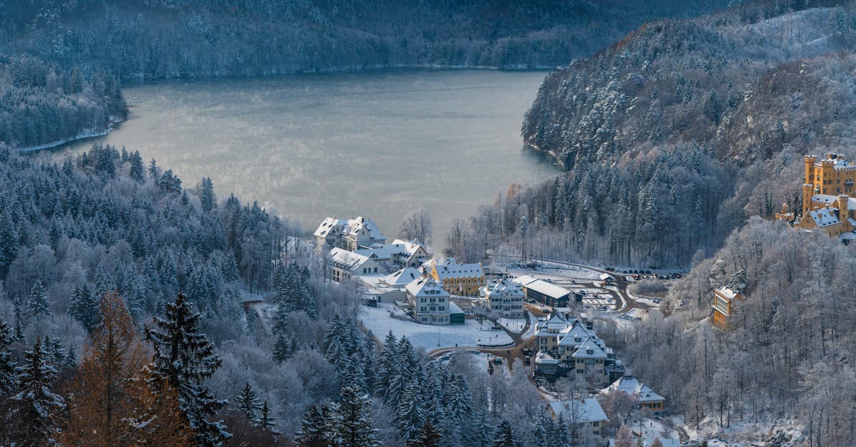 third_section_image_data.image_alt