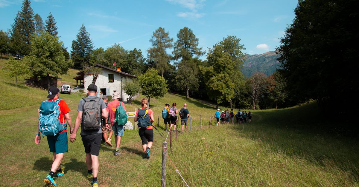 A group of hikers exploring a lush green valley during a sunny day trek.