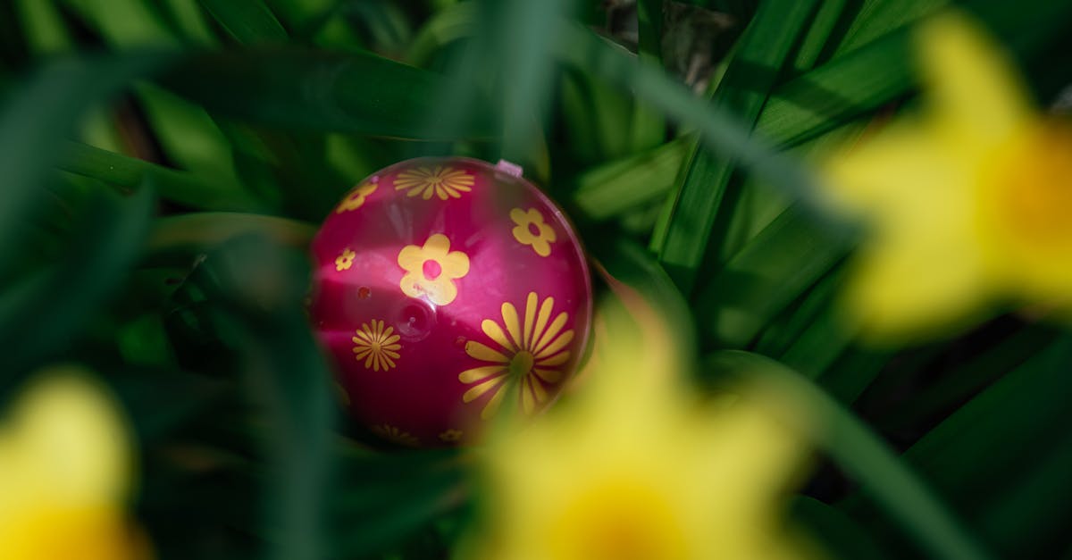 A vibrant painted Easter egg nestled in green leaves and yellow flowers.