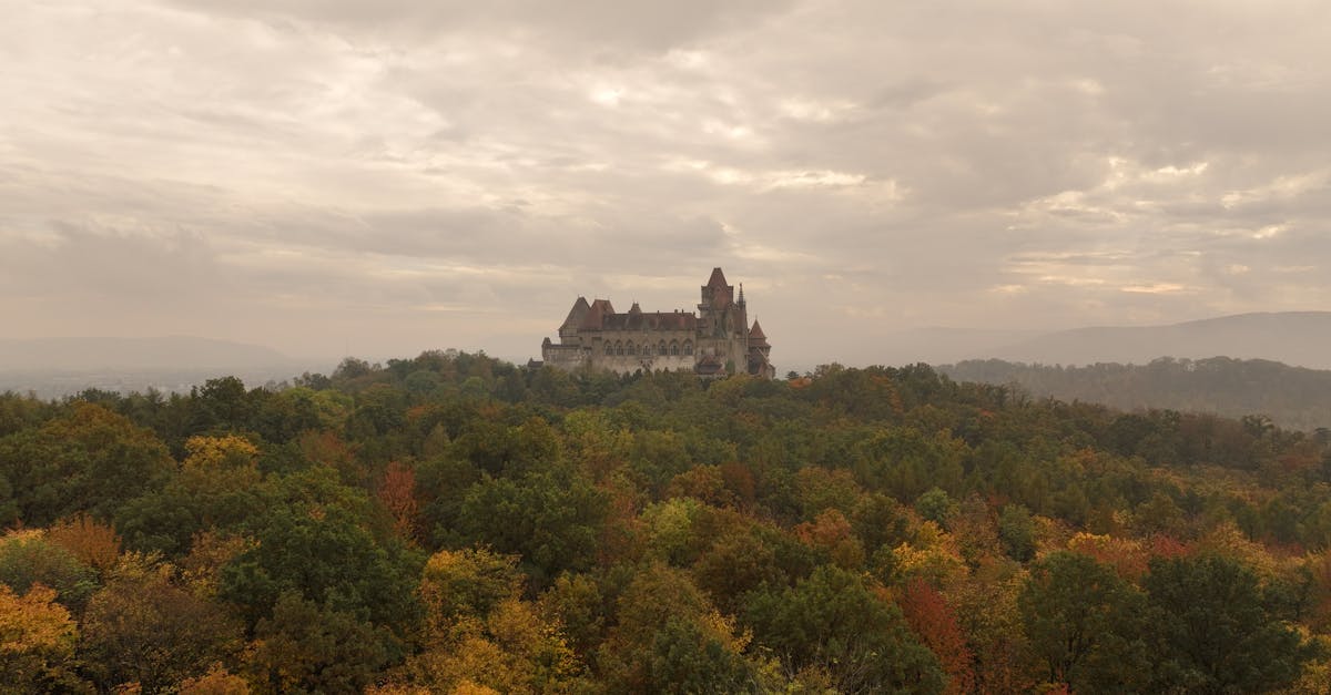 Aerial view of an ancient castle surrounded by a colorful autumn forest under an overcast sky.