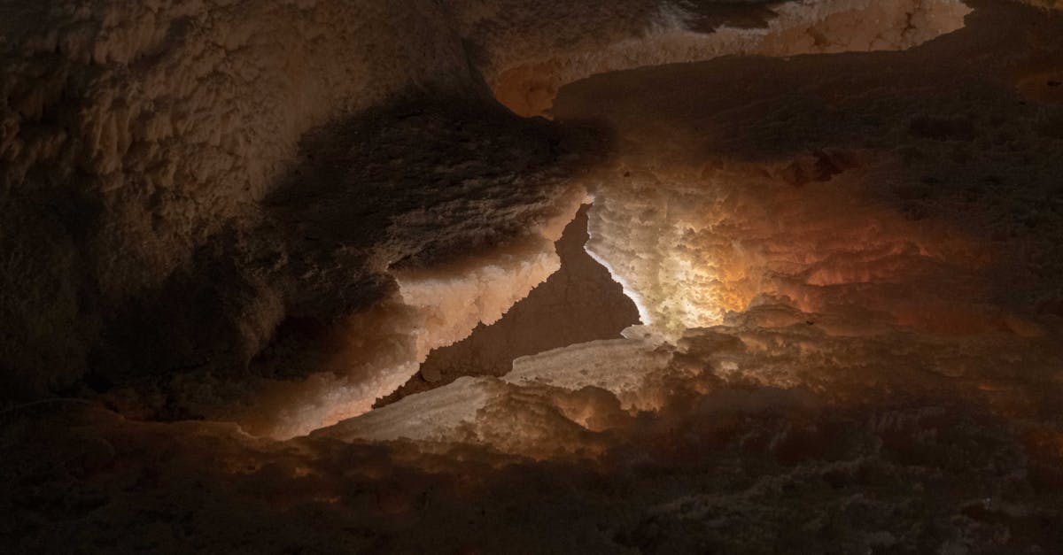 third_section_image_data.image_alt