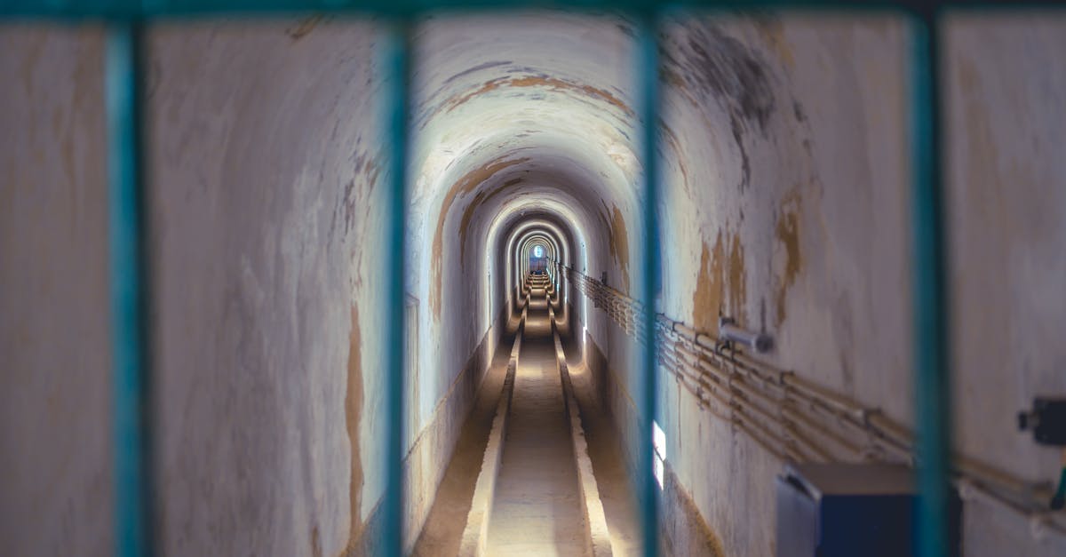 third_section_image_data.image_alt