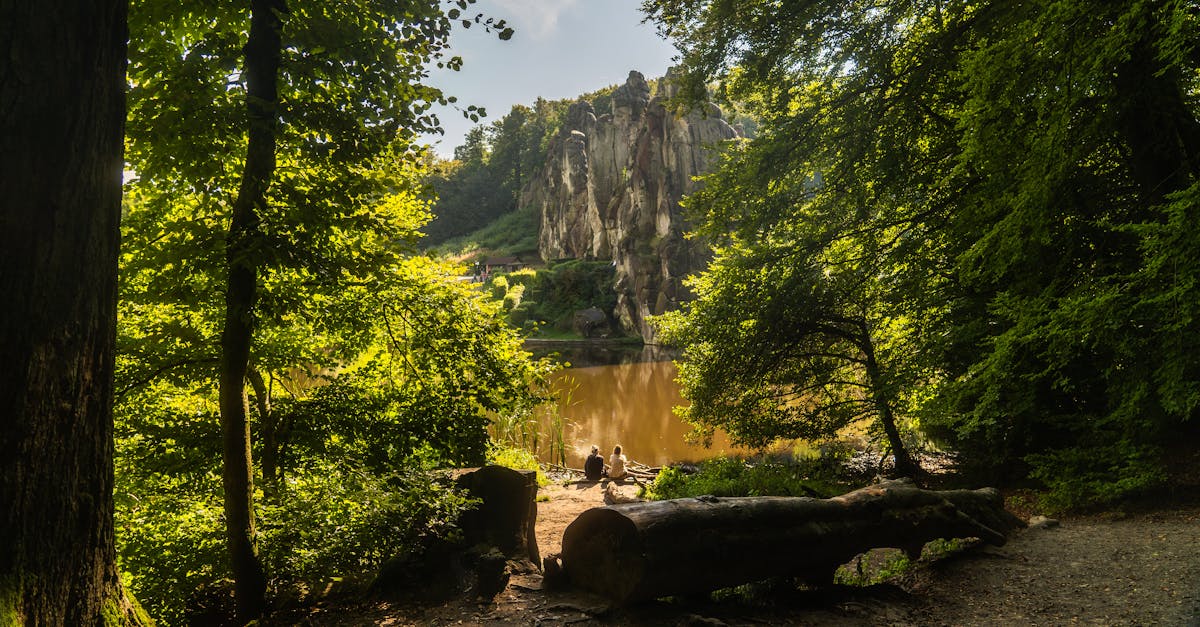 A scenic view of Externsteine rock formation surrounded by lush greenery in summer.