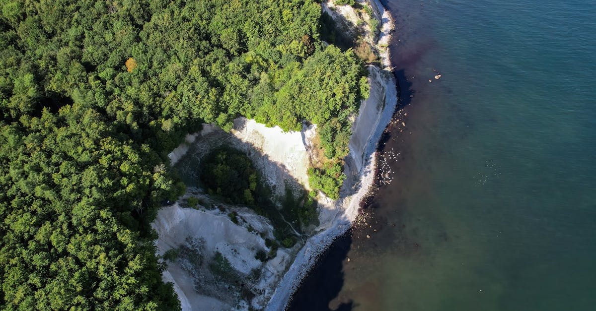 Breathtaking aerial view of chalk cliffs and lush forest meeting the sea in Mecklenburg-Vorpommern, Germany.