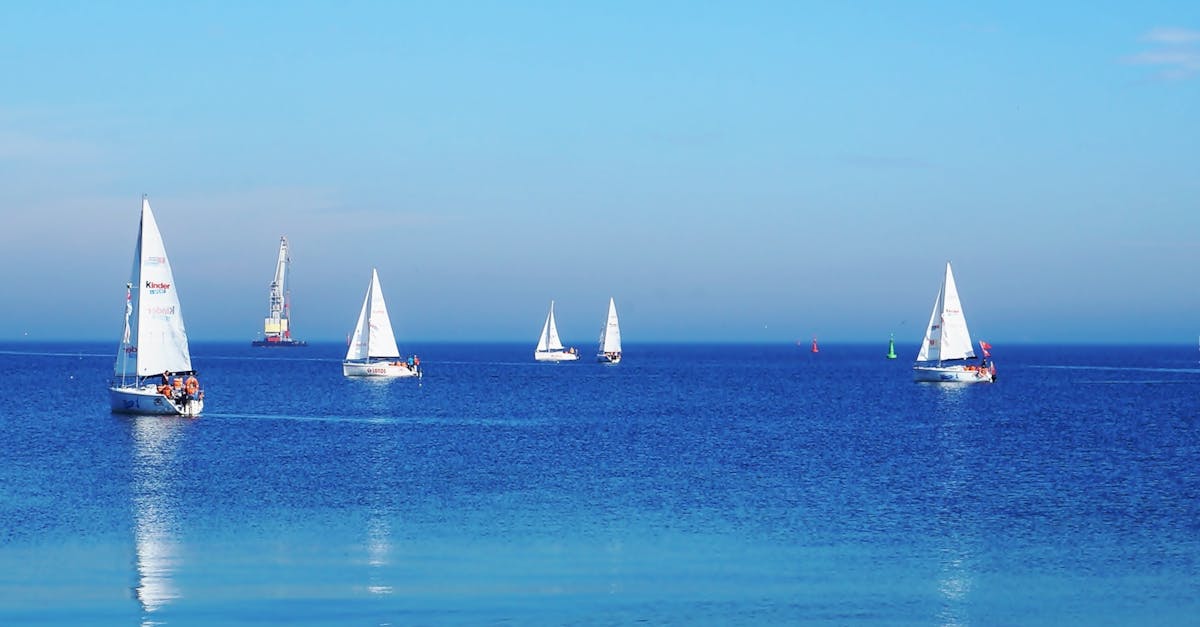 Stunning photo of a regatta with sailboats gliding across a serene ocean under clear blue skies.