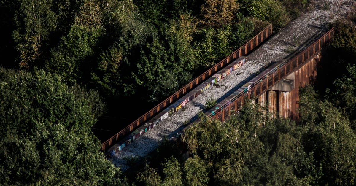 Aerial shot of an overgrown, graffiti-covered abandoned railway bridge surrounded by dense forest.