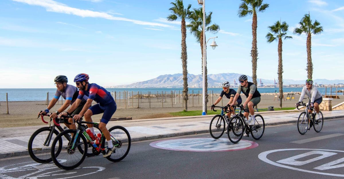 Cyclists enjoy a scenic ride by the sea on a sunny day with palm trees lining the road.
