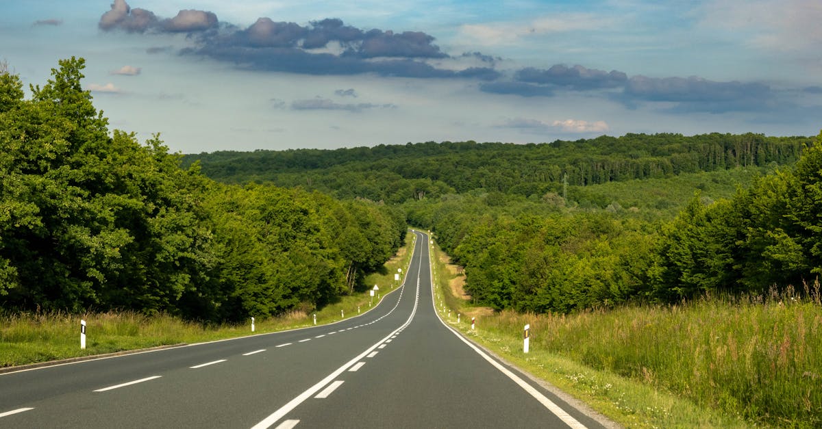 A picturesque road stretching through a lush green forest under a clear summer sky in Grubišno Polje, Croatia.