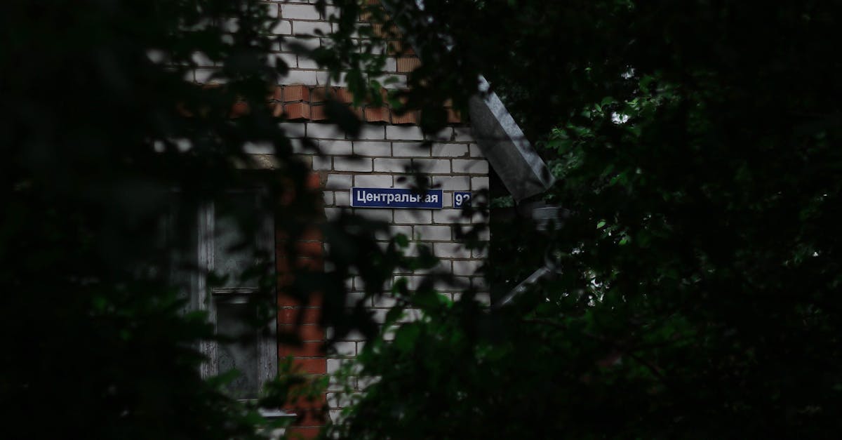 A mysterious brick wall seen through dense foliage in Minsk, Belarus.