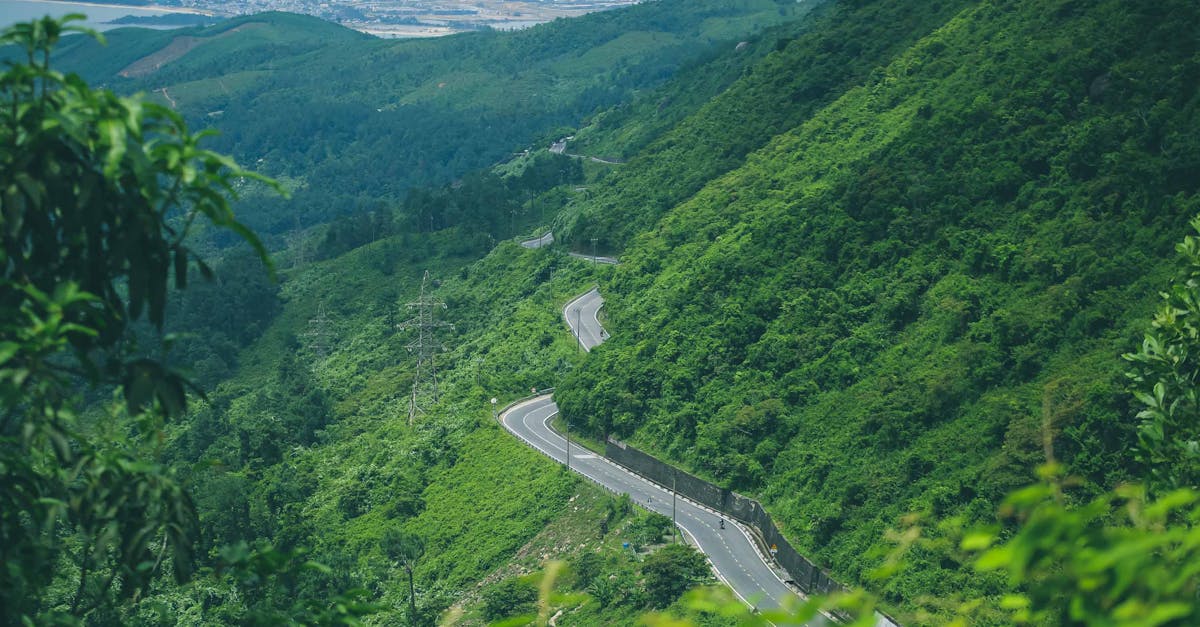 A winding mountain road amidst vibrant lush greenery, offering a stunning scenic view.