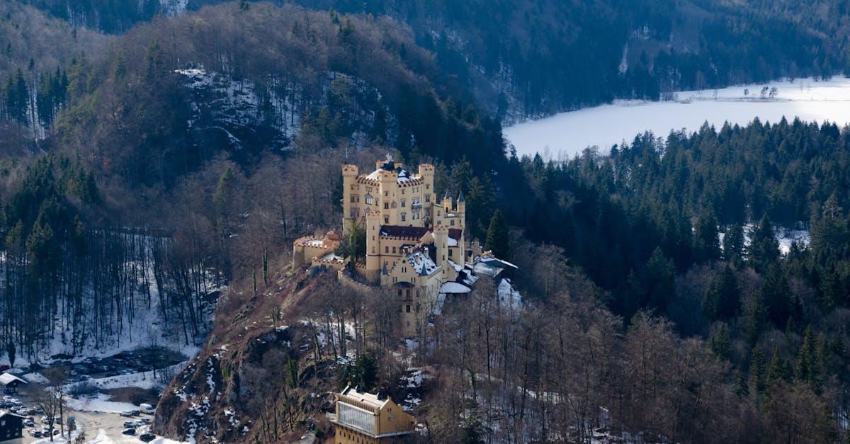 Aerial view of a historic castle surrounded by snowy forests and mountains in winter light.