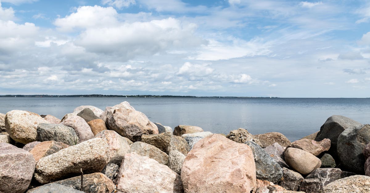 third_section_image_data.image_alt