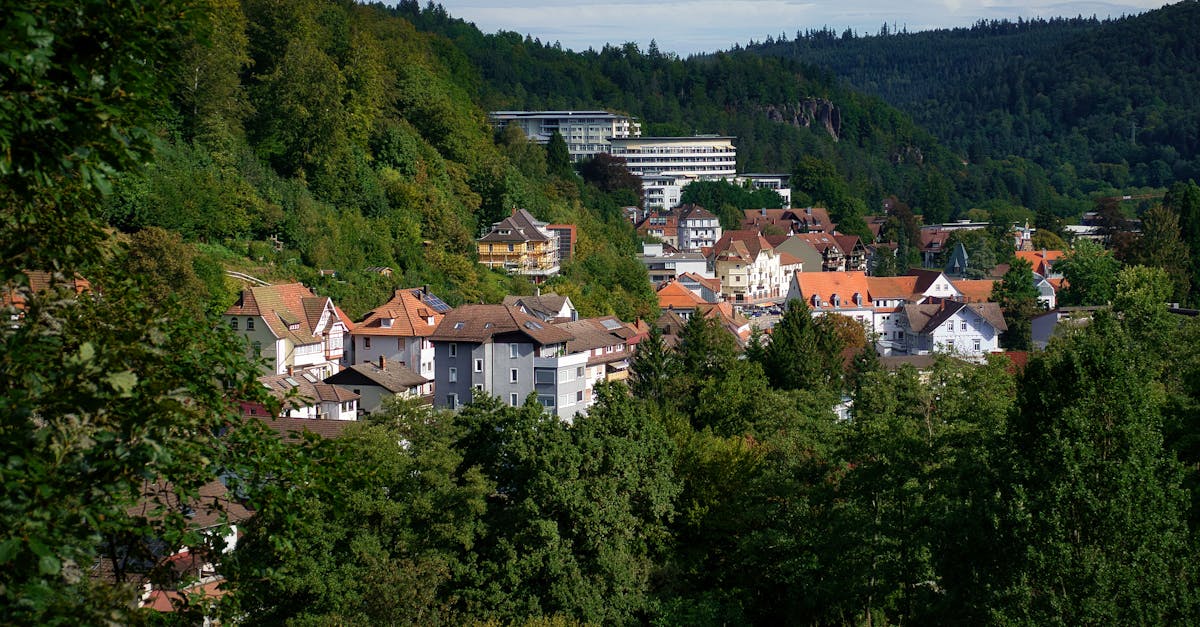 Scenic view of Bad Herrenalb, Germany with lush greenery and traditional architecture.