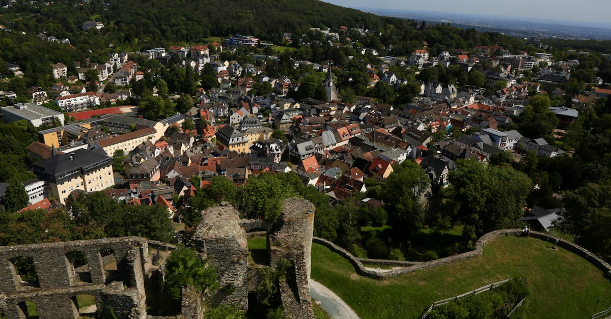 Scenic aerial view of Königstein with castle ruins and lush greenery.