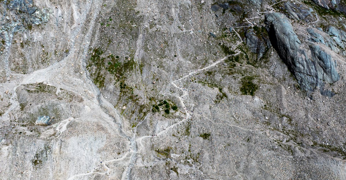 third_section_image_data.image_alt