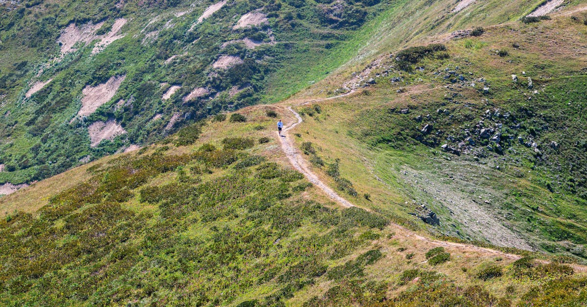 Hiker on a picturesque trail in Гагра's lush, green mountains.