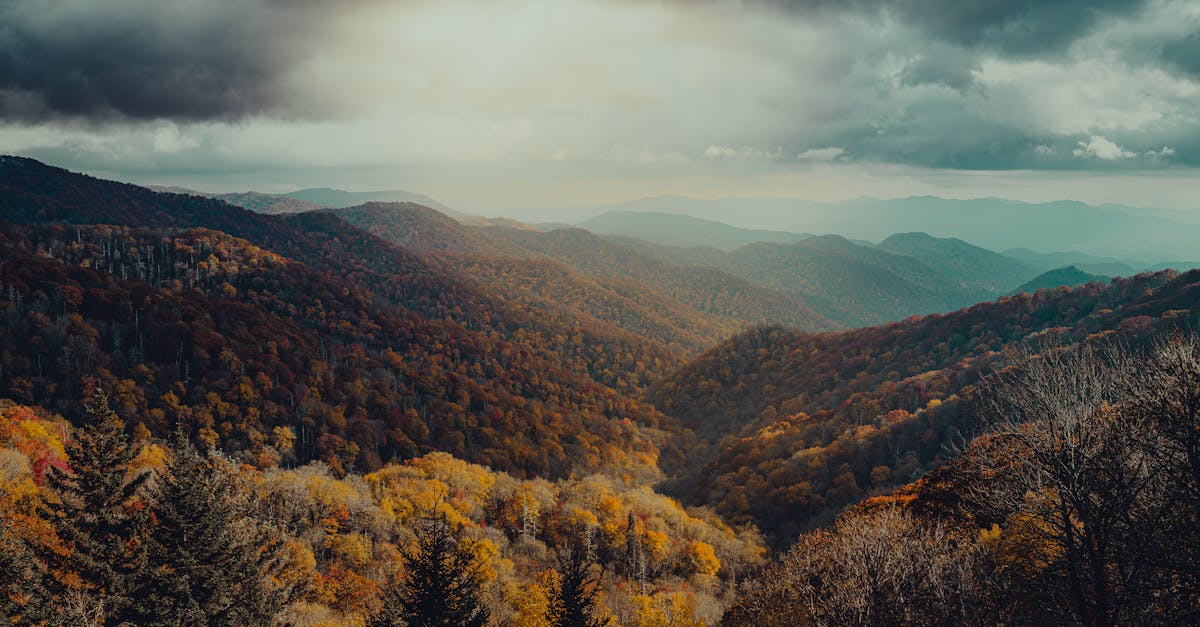 Explore the serene beauty of mountain ranges covered in vibrant fall colors, under dramatic skies.
