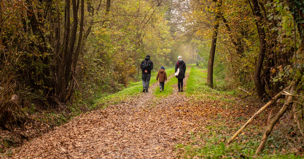 Family walking on a scenic autumn forest path in rural Croatia.