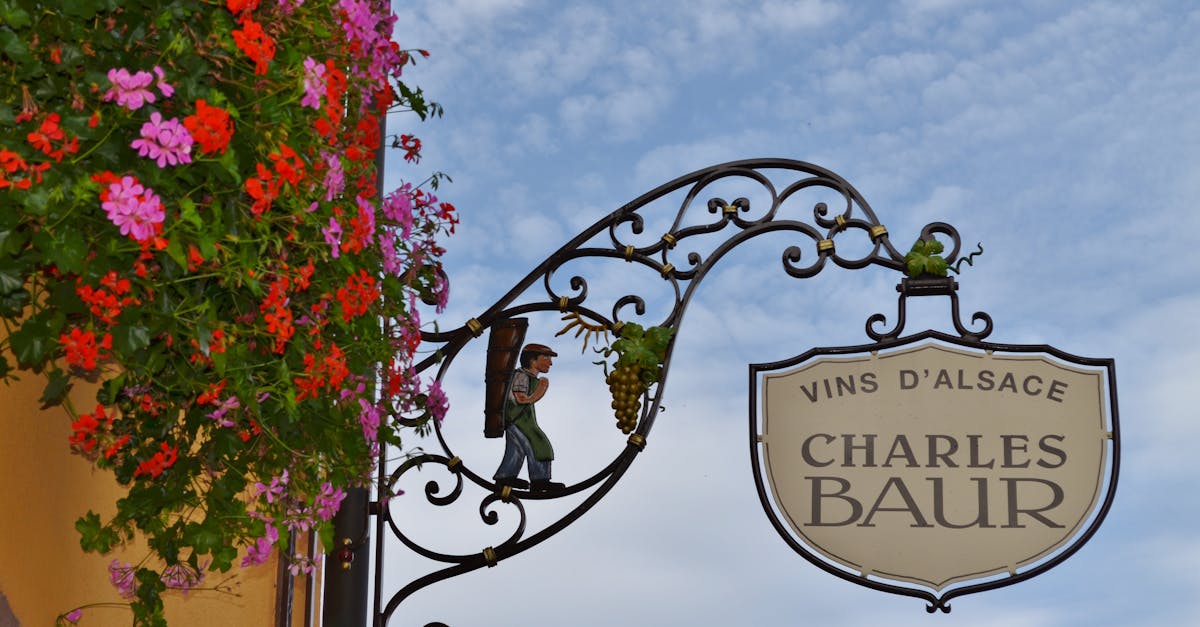 Ornate wine shop sign in Alsace, France with vibrant flowers and clear sky.