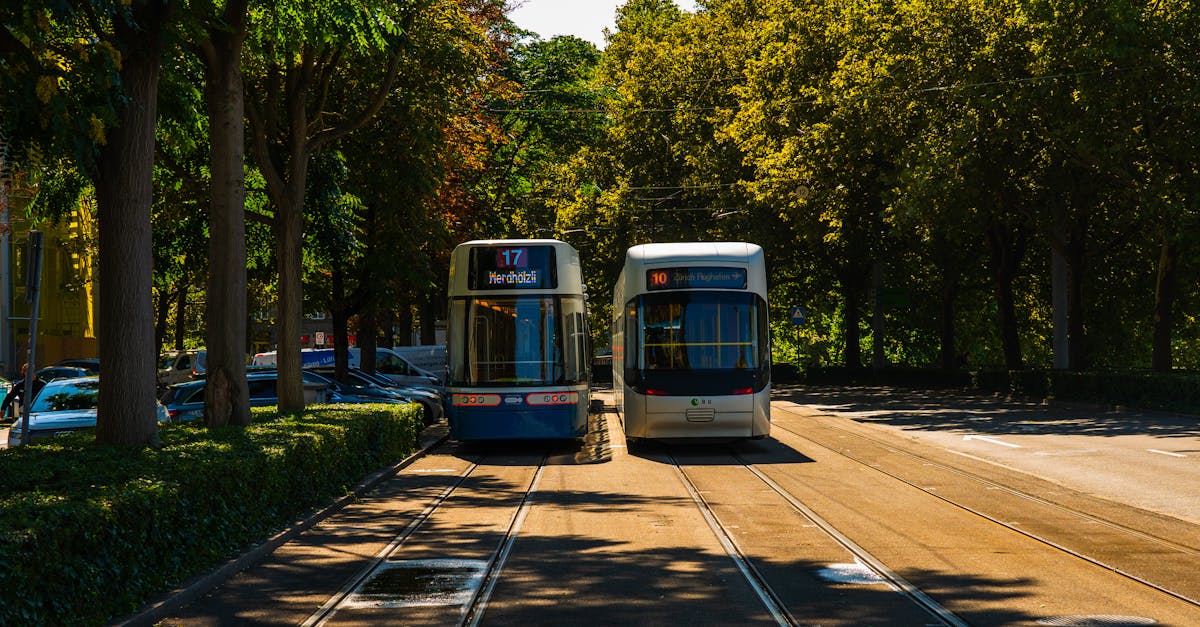 Two trams passing through a sunny, tree-lined street in an urban area with clear blue skies.