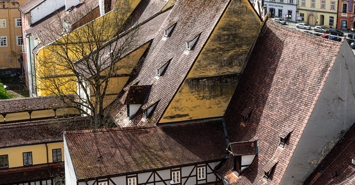 Charming view of old European rooftops showcasing unique architecture and rich textures.