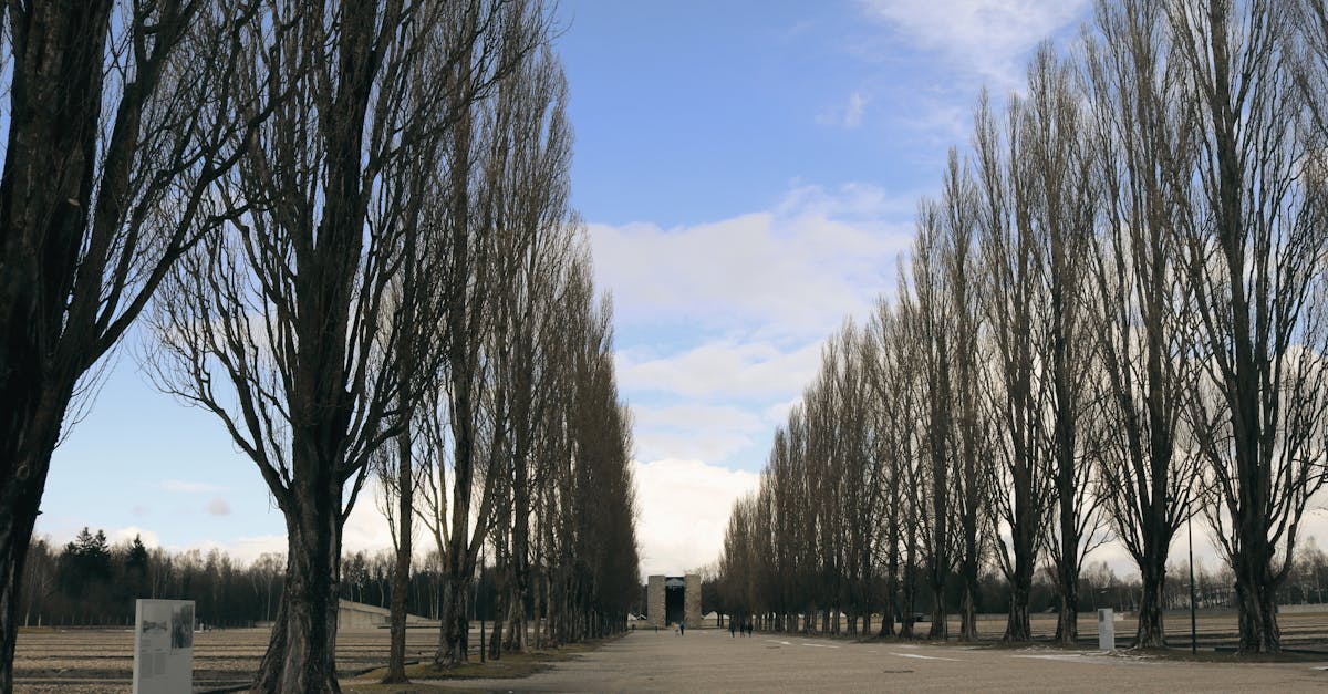 third_section_image_data.image_alt