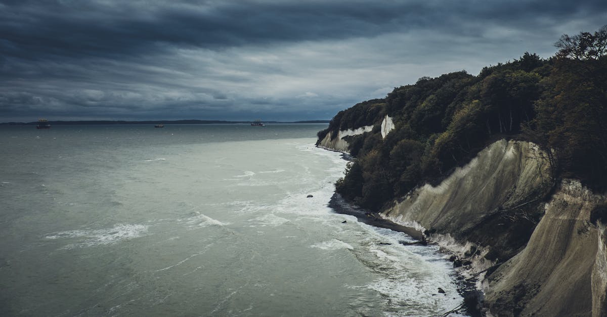 Moody view of Baltic Sea cliffs with lush forest in autumn.