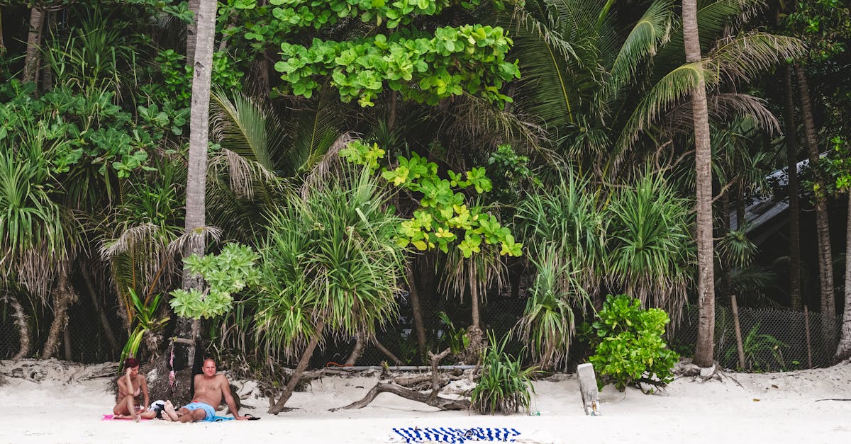A tranquil scene with people relaxing on a tropical beach surrounded by lush greenery.