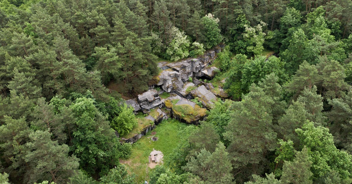 third_section_image_data.image_alt