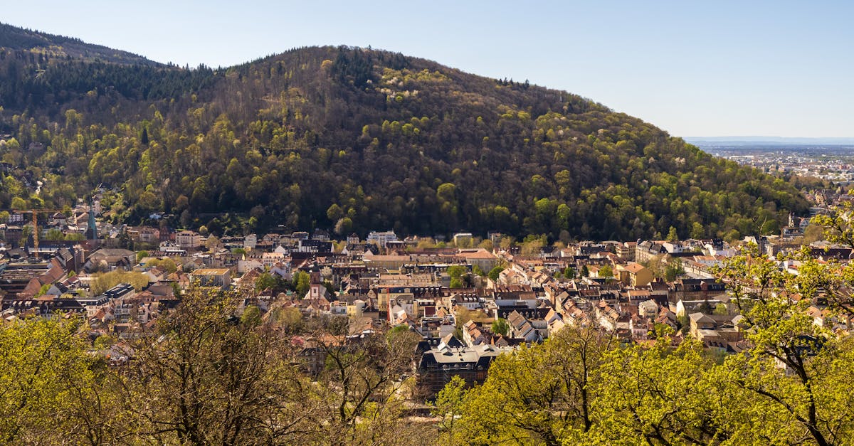 Aerial shot of Heidelberg, showcasing the lush hillside and charming cityscape under a clear sky.