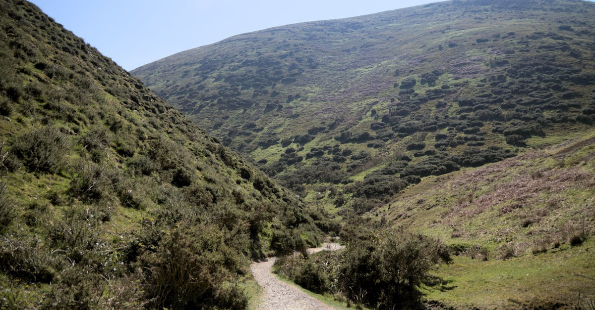 Explore a tranquil mountain pathway surrounded by vibrant green hills under a clear blue sky.