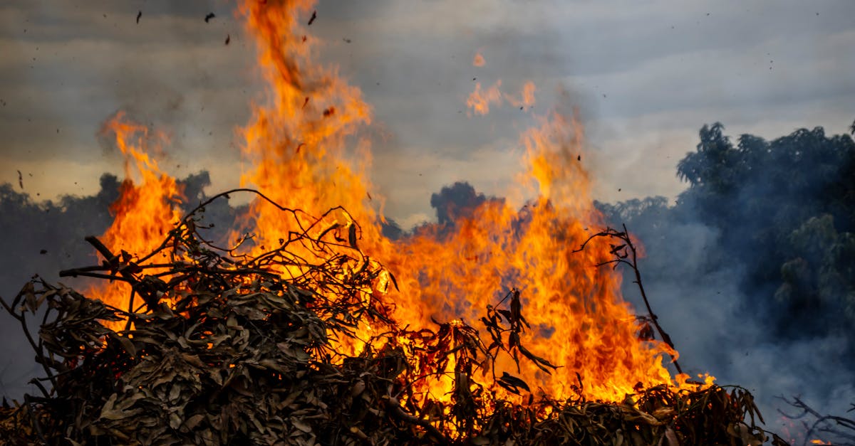 A dramatic scene of a bonfire burning dried plants against a cloudy sky in Tambo Grande, Peru.