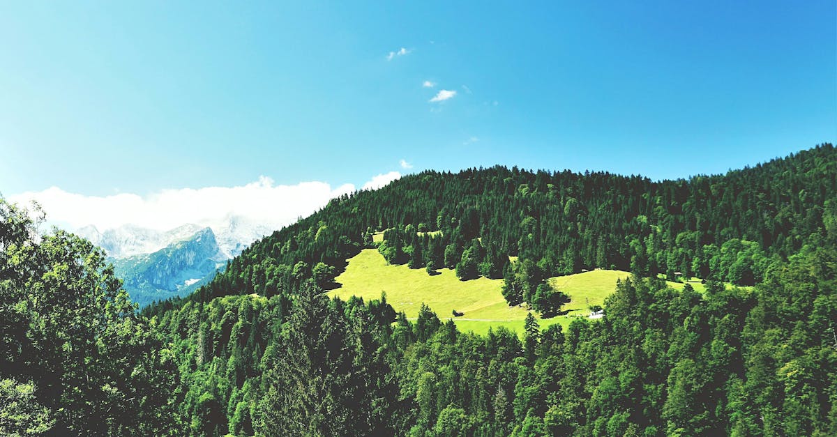Beautiful panoramic view of lush green forests and mountains in Garmisch-Partenkirchen, Bavaria.
