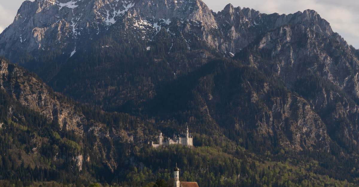 Stunning view of Neuschwanstein Castle nestled in the Bavarian Alps with lush green meadows.