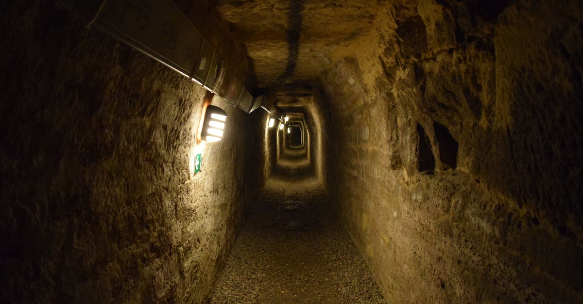 third_section_image_data.image_alt