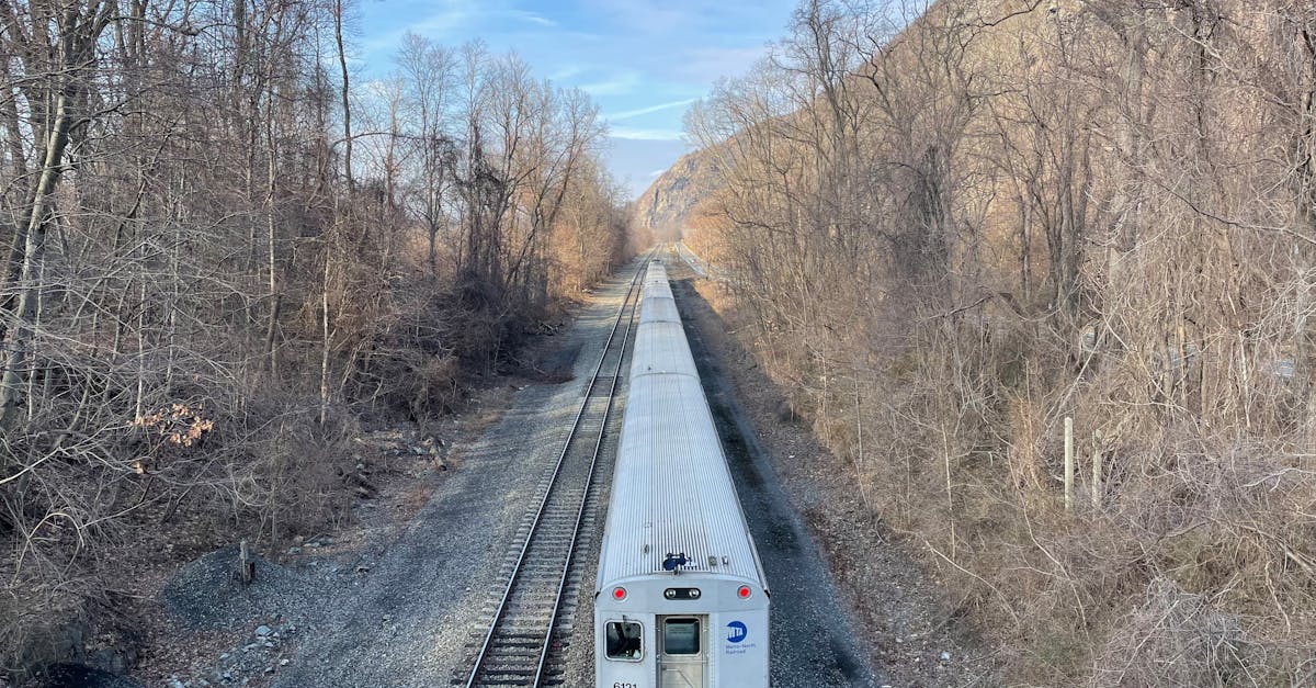 Train traveling through a forested area with bare trees and clear sky. Captured in winter.